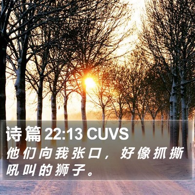诗 篇 22:13 CUVS Bible Verse Image
