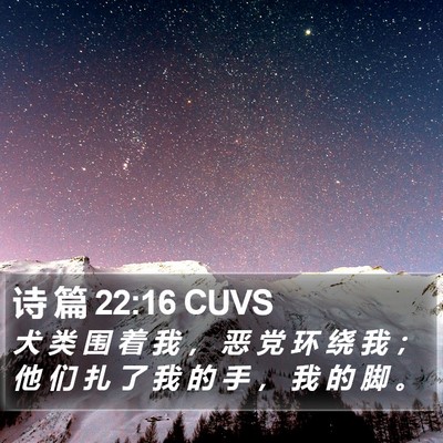 诗 篇 22:16 CUVS Bible Verse Image