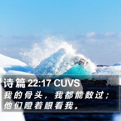 诗 篇 22:17 CUVS Bible Verse Image