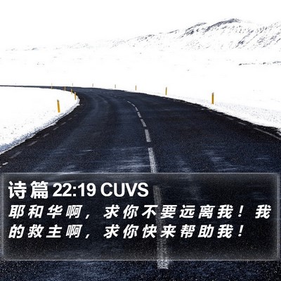 诗 篇 22:19 CUVS Bible Verse Image