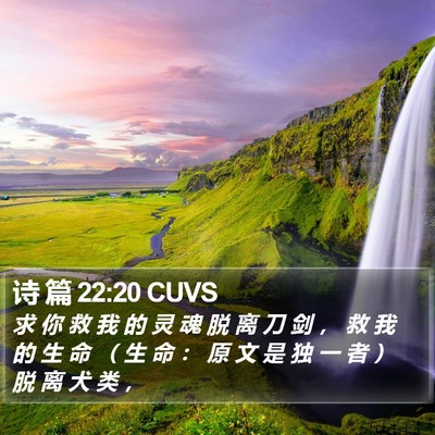 诗 篇 22:20 CUVS Bible Verse Image