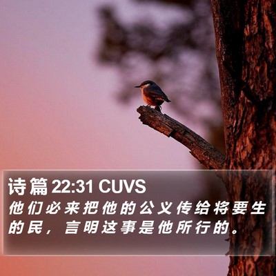 诗 篇 22:31 CUVS Bible Verse Image