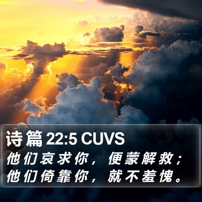 诗 篇 22:5 CUVS Bible Verse Image