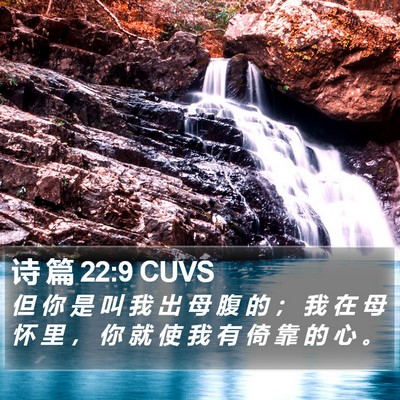 诗 篇 22:9 CUVS Bible Verse Image
