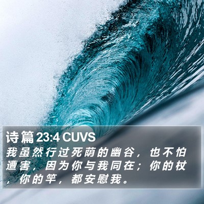 诗 篇 23:4 CUVS Bible Verse Image