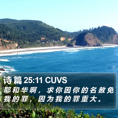 诗 篇 25:11 CUVS Bible Verse Image