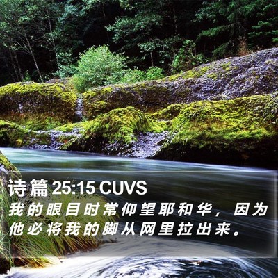 诗 篇 25:15 CUVS Bible Verse Image