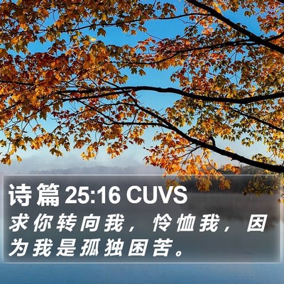 诗 篇 25:16 CUVS Bible Verse Image
