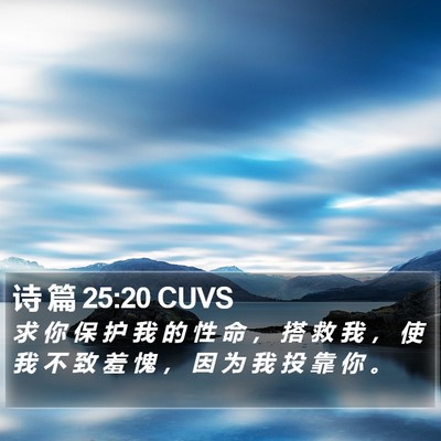诗 篇 25:20 CUVS Bible Verse Image