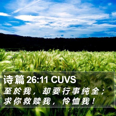 诗 篇 26:11 CUVS Bible Verse Image