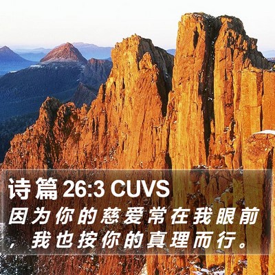 诗 篇 26:3 CUVS Bible Verse Image