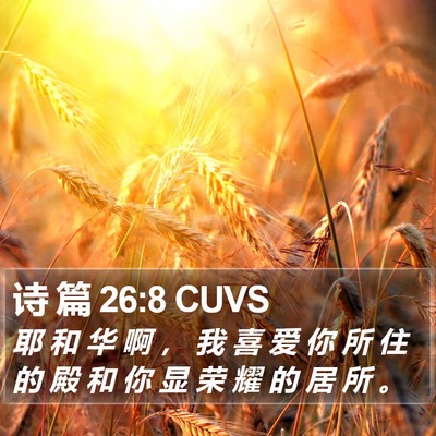诗 篇 26:8 CUVS Bible Verse Image