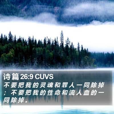 诗 篇 26:9 CUVS Bible Verse Image