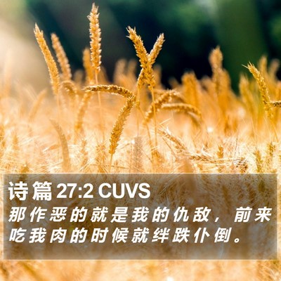 诗 篇 27:2 CUVS Bible Verse Image