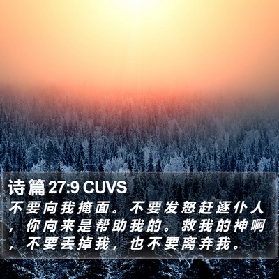 诗 篇 27:9 CUVS Bible Verse Image