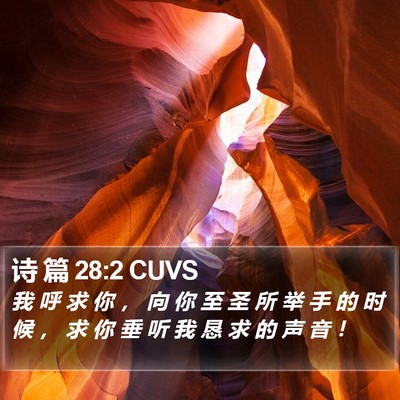 诗 篇 28:2 CUVS Bible Verse Image