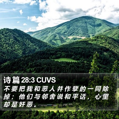 诗 篇 28:3 CUVS Bible Verse Image