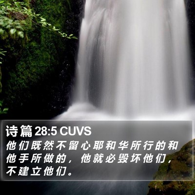 诗 篇 28:5 CUVS Bible Verse Image