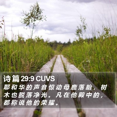 诗 篇 29:9 CUVS Bible Verse Image