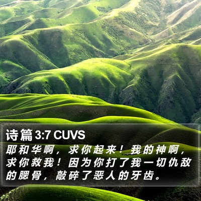 诗 篇 3:7 CUVS Bible Verse Image