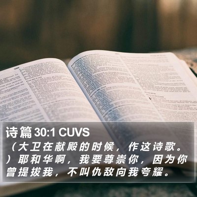 诗 篇 30:1 CUVS Bible Verse Image