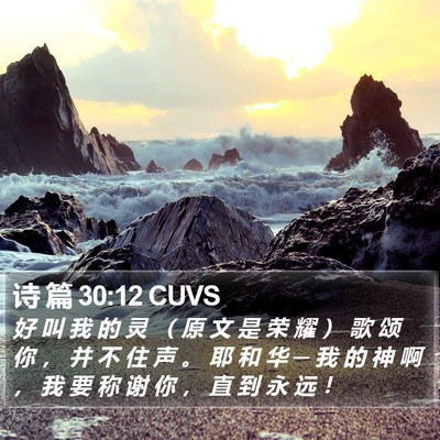 诗 篇 30:12 CUVS Bible Verse Image