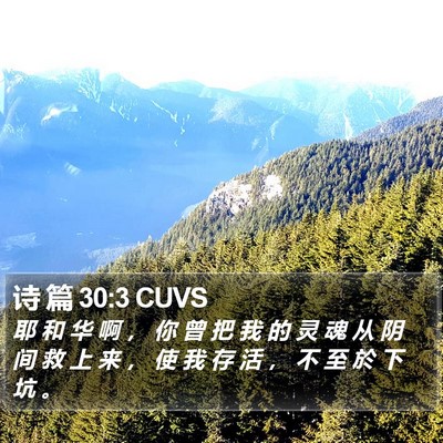 诗 篇 30:3 CUVS Bible Verse Image