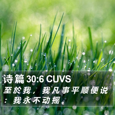 诗 篇 30:6 CUVS Bible Verse Image