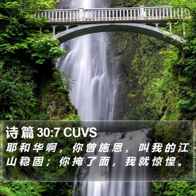 诗 篇 30:7 CUVS Bible Verse Image