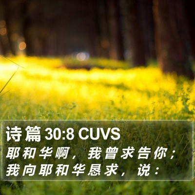 诗 篇 30:8 CUVS Bible Verse Image