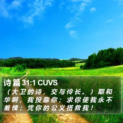 诗 篇 31:1 CUVS Bible Verse Image