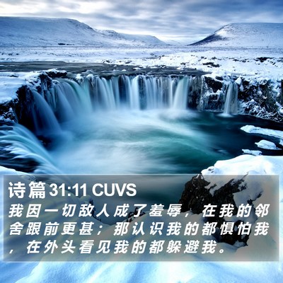 诗 篇 31:11 CUVS Bible Verse Image