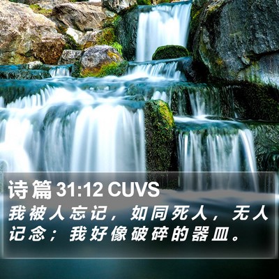 诗 篇 31:12 CUVS Bible Verse Image