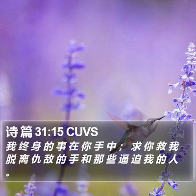 诗 篇 31:15 CUVS Bible Verse Image