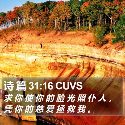 诗 篇 31:16 CUVS Bible Verse Image
