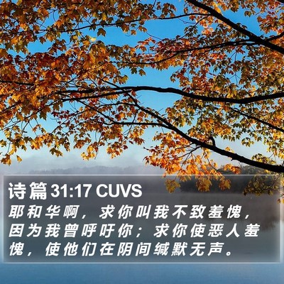 诗 篇 31:17 CUVS Bible Verse Image