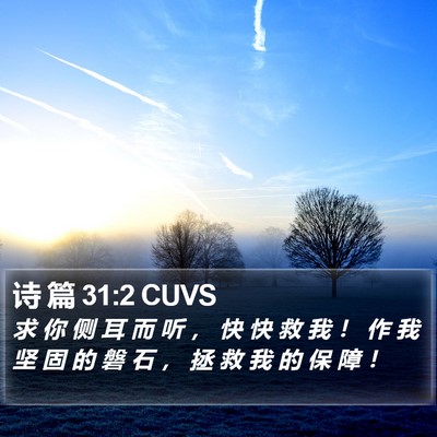 诗 篇 31:2 CUVS Bible Verse Image