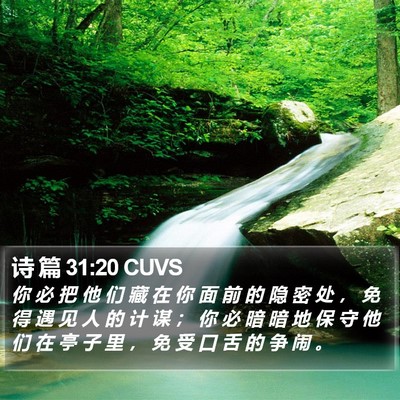诗 篇 31:20 CUVS Bible Verse Image