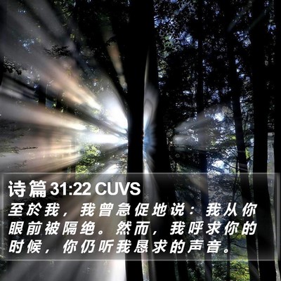 诗 篇 31:22 CUVS Bible Verse Image