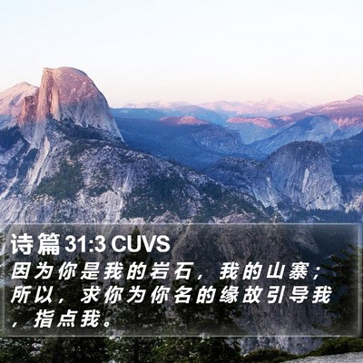诗 篇 31:3 CUVS Bible Verse Image