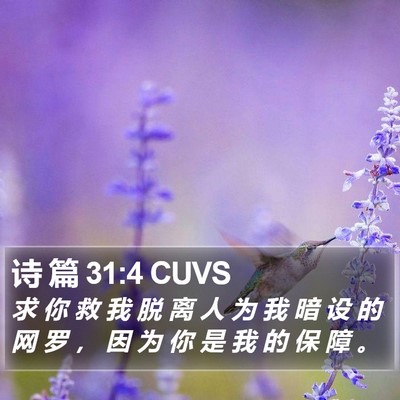 诗 篇 31:4 CUVS Bible Verse Image