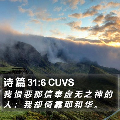 诗 篇 31:6 CUVS Bible Verse Image