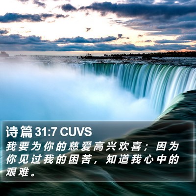 诗 篇 31:7 CUVS Bible Verse Image