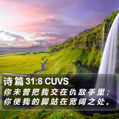 诗 篇 31:8 CUVS Bible Verse Image