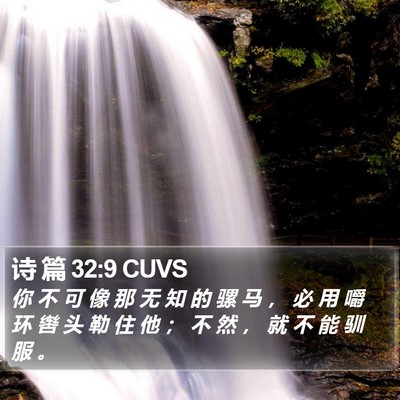 诗 篇 32:9 CUVS Bible Verse Image