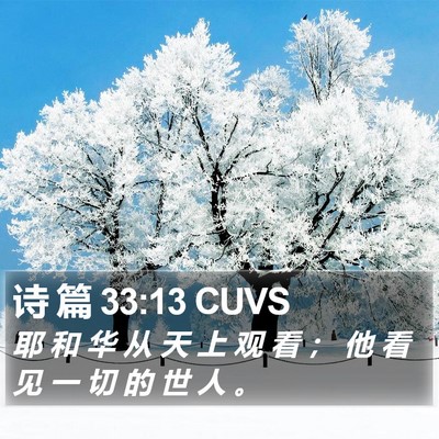 诗 篇 33:13 CUVS Bible Verse Image