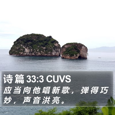 诗 篇 33:3 CUVS Bible Verse Image