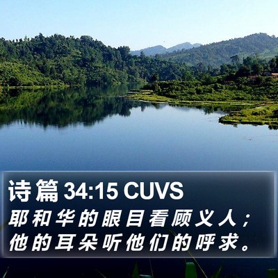 诗 篇 34:15 CUVS Bible Verse Image