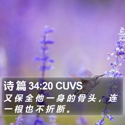 诗 篇 34:20 CUVS Bible Verse Image