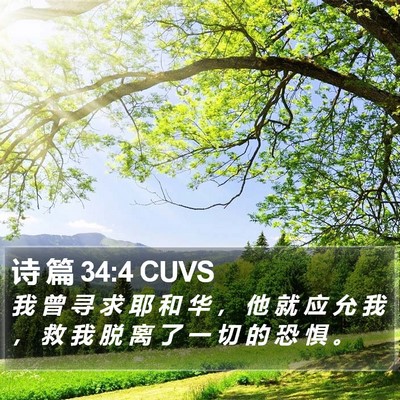 诗 篇 34:4 CUVS Bible Verse Image